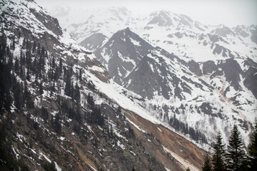 A beautiful snowy mountain entirely covered in trees on a cloudy day