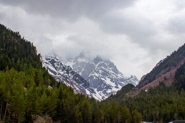 A majestic snowcovered mountain is surrounded by lush trees
