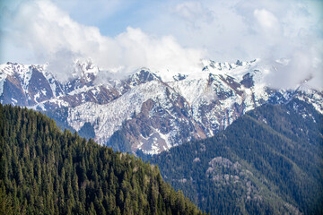 A beautiful snowy mountain range featuring trees on its slopes