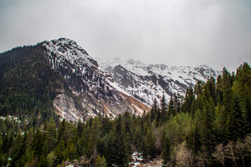 A beautiful snowy mountain, surrounded by tall trees, on a cloudy day
