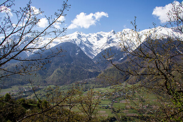 A picturesque view of a snowy mountain range featuring trees in the foreground