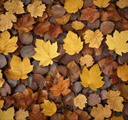 Close-up of textured yellow and brown autumn leaves, foliage, seasonal, fall