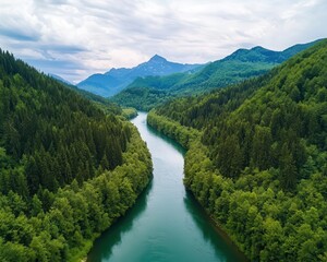 Fototapeta premium Mountain river meandering through a forest, surrounded by cliffs and remote peaks, peaceful and wild