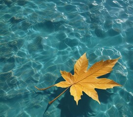 Delicate yellow-orange leaf floating on the surface of turquoise water, water, calm, serene landscape