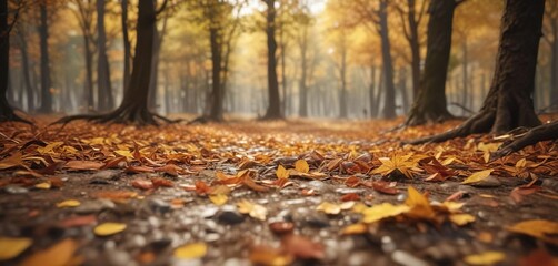 A blurred background of a forest floor with autumn leaves in amber color, forest floor, amber color