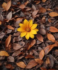 Fototapeta premium Vibrant yellow and orange flower nestled among brown dried leaves, fall foliage, floral arrangement