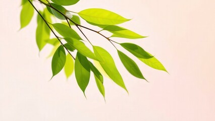 Obraz premium Vibrant Green Leaves Branch Nature Photography Wall Art Home Decor
