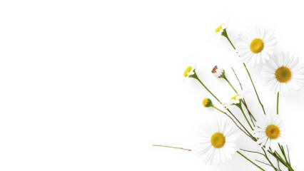 Elegant White Daisies Bouquet: Perfect for Weddings, Home Decor, or Special Occasions - Bring Nature's Beauty into Your Life