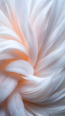 Elegant feather swirls in abstract art studio setting digital illustration soft lighting artistic expression