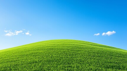 Obraz premium A lush green hillside stretches toward a clear, cloudless sky, basking in the warmth of a radiant summer sun. This picturesque scene invites tranquility and outdoor exploration
