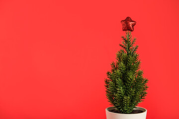 A minimalist holiday composition featuring a miniature Christmas tree set against a vibrant red...