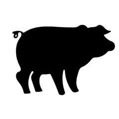 pig black silhouette isolated on white background