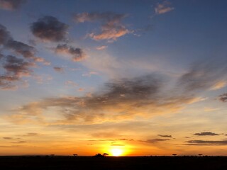 Fototapeta premium Sunrise safari ride in the Serengeti
