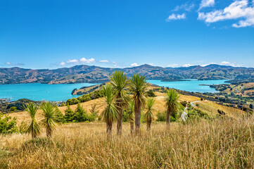 Akaroa Bay, Canterbury, South Island, New Zealand, Oceania.