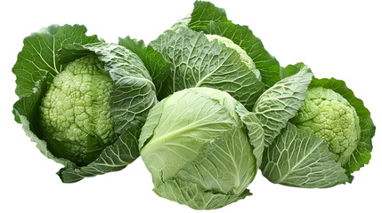 Fototapeta premium cabbage isolated on a transparent background
