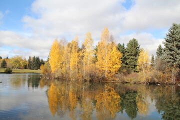 Fototapeta premium Glory Of Autumn
