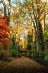 茨城県筑西市　最勝寺の紅葉
