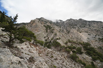 Fototapeta premium panorama from Rouvas gorges and mountains , Zaros, Crete