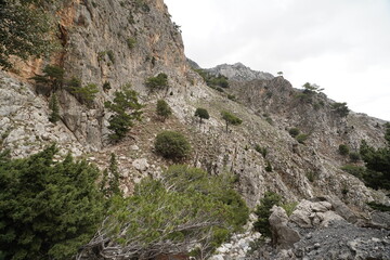 Fototapeta premium panorama from Rouvas gorges and mountains , Crete