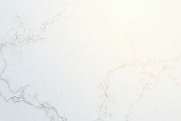 Obraz premium Abstract background with a smooth, white marble texture.