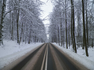 Fototapeta premium Road through a forest covered with snow. Wiezyca Poland.
