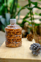 Small gallon bottle containing roasted peanuts with blurred foreground and blurred nature background