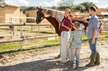 Young man and young woman brushing horse with comb in paddock