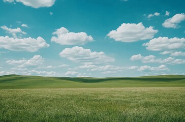 Obraz premium A vast grassland under a blue sky with fluffy white clouds in Inner Mongolia, showcasing the natural beauty and expansive landscape, perfect for a peaceful and tranquil outdoor setting.