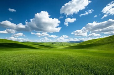 Obraz premium A vast grassland under a blue sky with fluffy white clouds in Inner Mongolia, showcasing the natural beauty and expansive landscape, perfect for a peaceful and tranquil outdoor setting.