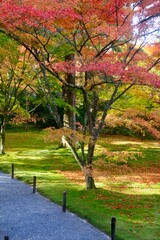 秋の三千院・聚碧園・しゅうへきえん（京都・左京区）