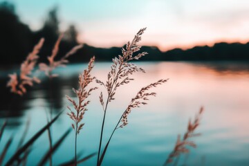 Obraz premium Ethereal humidity surrounds the landscape, creating a dreamlike atmosphere of soft mist and gentle light.