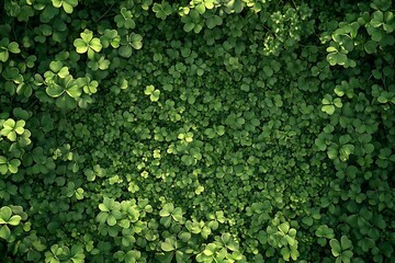 A top-down view of an endless field covered in lush