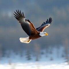 3d eagle rendering while flying