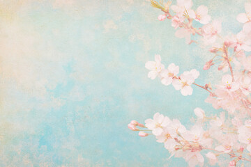Photo background with delicate spring petals of cherry, apple, sakura