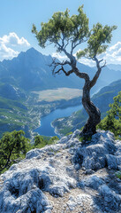 Obraz premium Solitary tree on rocky cliff overlooking mountain lake and valley.
