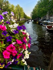 Pink, white, and purple flowers along a canal 