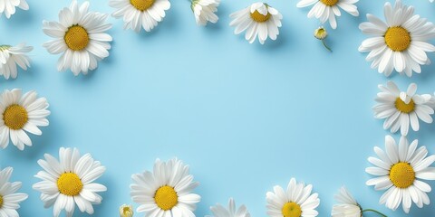 Fototapeta premium Daisies frame a bright scene featuring flowers against a light blue background, highlighting the cheerful essence of daisies and their vibrant beauty from a top view perspective.