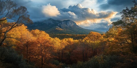 Obraz premium Captivating photographs showcasing the stunning forest landscape and majestic peak, highlighting the beauty of nature with Old Rag forest and peak as the central theme in every image.