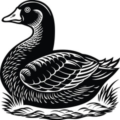 Obraz premium Gander vector silhouette, isolated white background