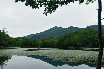 Summer view at Shiretoko Goko Lakes at Shiretoko National Park Hokkaido