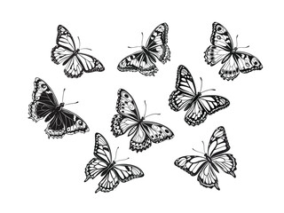 Butterfly silhouettes a collection of elegant in various poses and designs 
