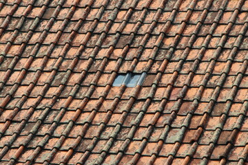 Fototapeta premium A close-up view of an old terracotta roof showing age and weathering, with a single skylight visible. Aged Terracotta Roof Tiles with a Single Skylight.