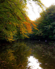 Balaton in Wodzisław Śląski in the autumn aura