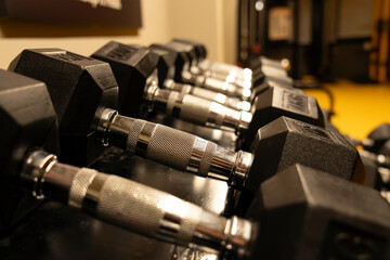Obraz premium Bodybuilding dumbbells in the gym