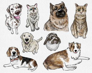 collection of dogs, cats and one rabbit watercolor illustration