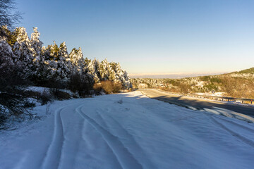 Obraz premium Car tire tracks in the snow near a snow-covered coniferous forest. The bright sun illuminates the treetops and casts shadows. The Caucasus Mountain Range is in the background