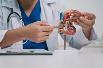 In the clinic, the cardiology team used a detailed model to explain the anatomy of the heart, discussing disease prevention and care options, including surgery and medicine for health.