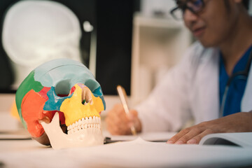 The doctor at the clinic used a detailed model of the human skull to teach anatomy, highlighting the importance of bone health in medicine and advancing medical science.