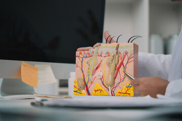 The dermatologist used a model to explain skin anatomy, focusing on the epidermis's structure and...