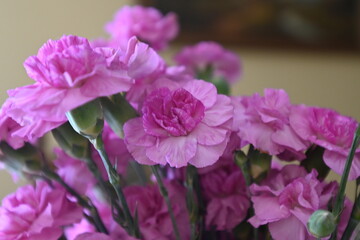 a bouquet of flowers in a vase